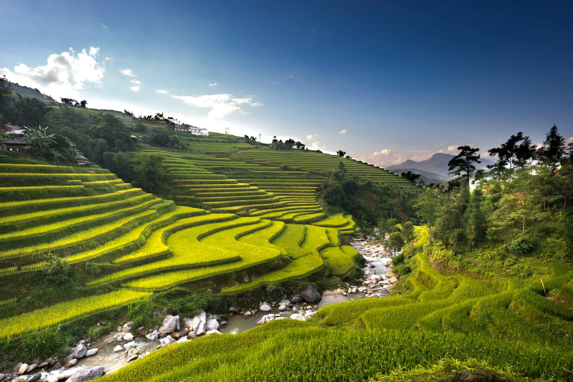 Travel gallery image